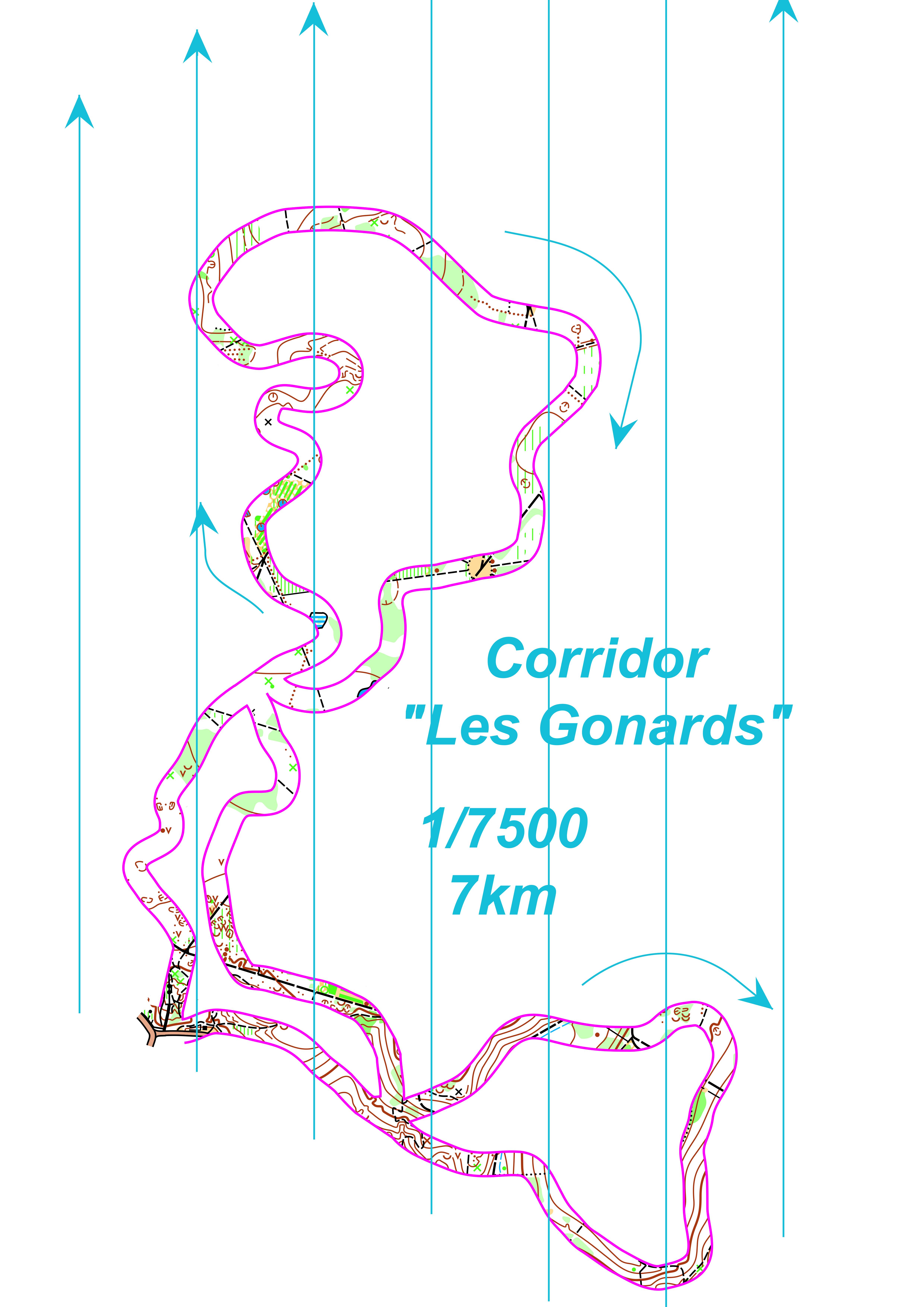 Corridor gonards  (2017-11-29)