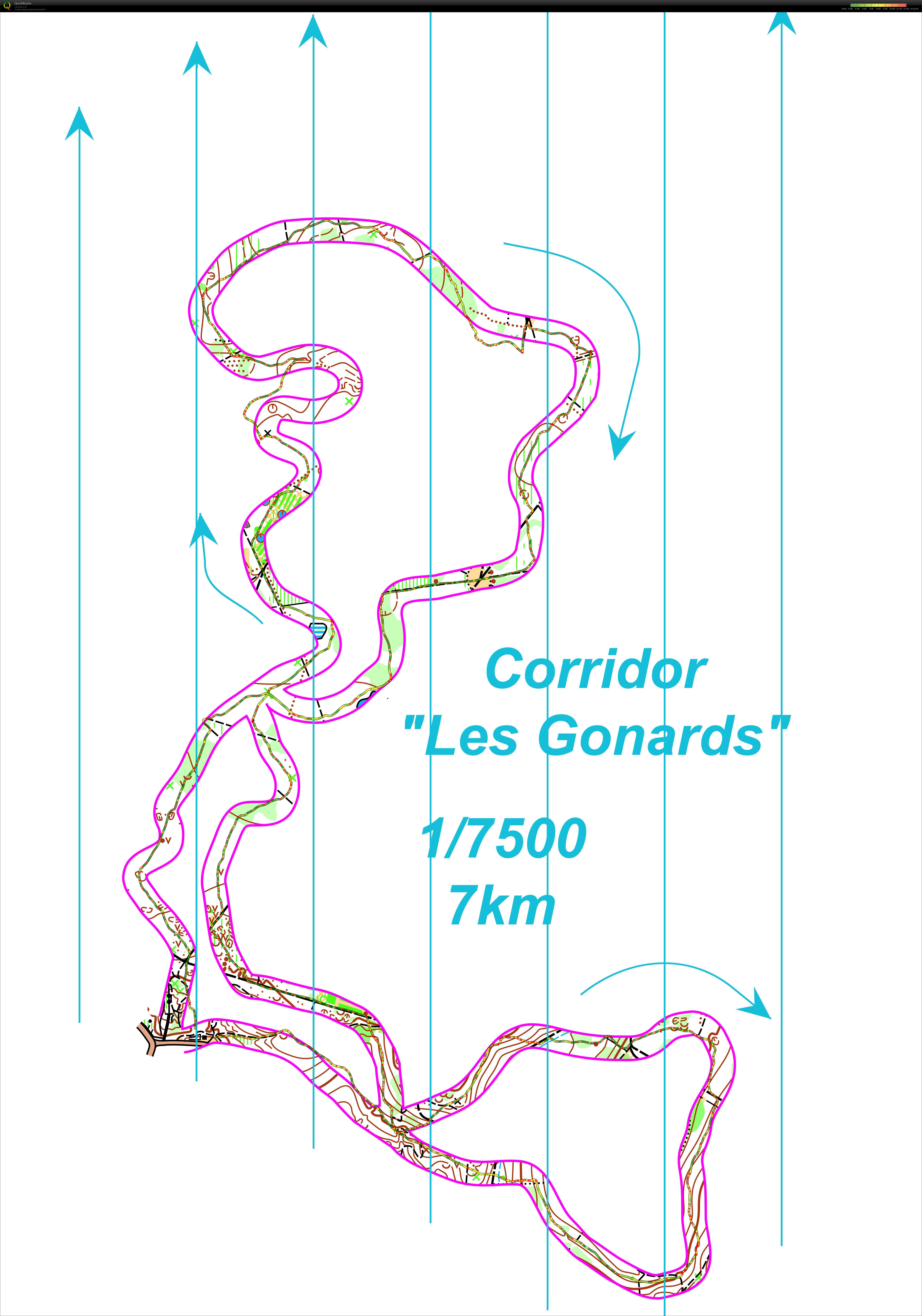 Corridor gonards  (29/11/2017)