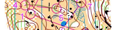 mSp 4