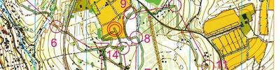 Championnat de France de relai H35