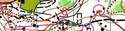 mSp #4 Chalmazel