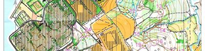 Yorkshire & Humber Middle Distance Championships