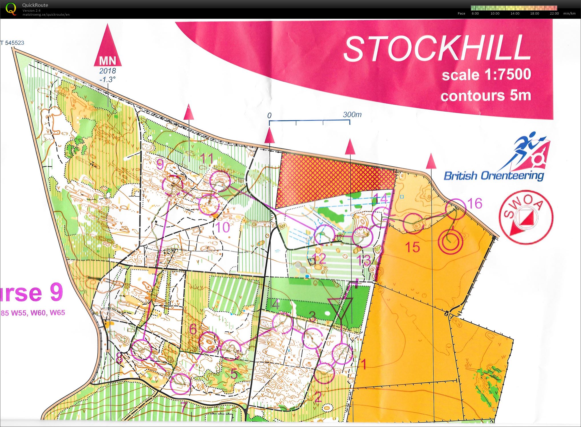 Middle Distance (02-09-2018)