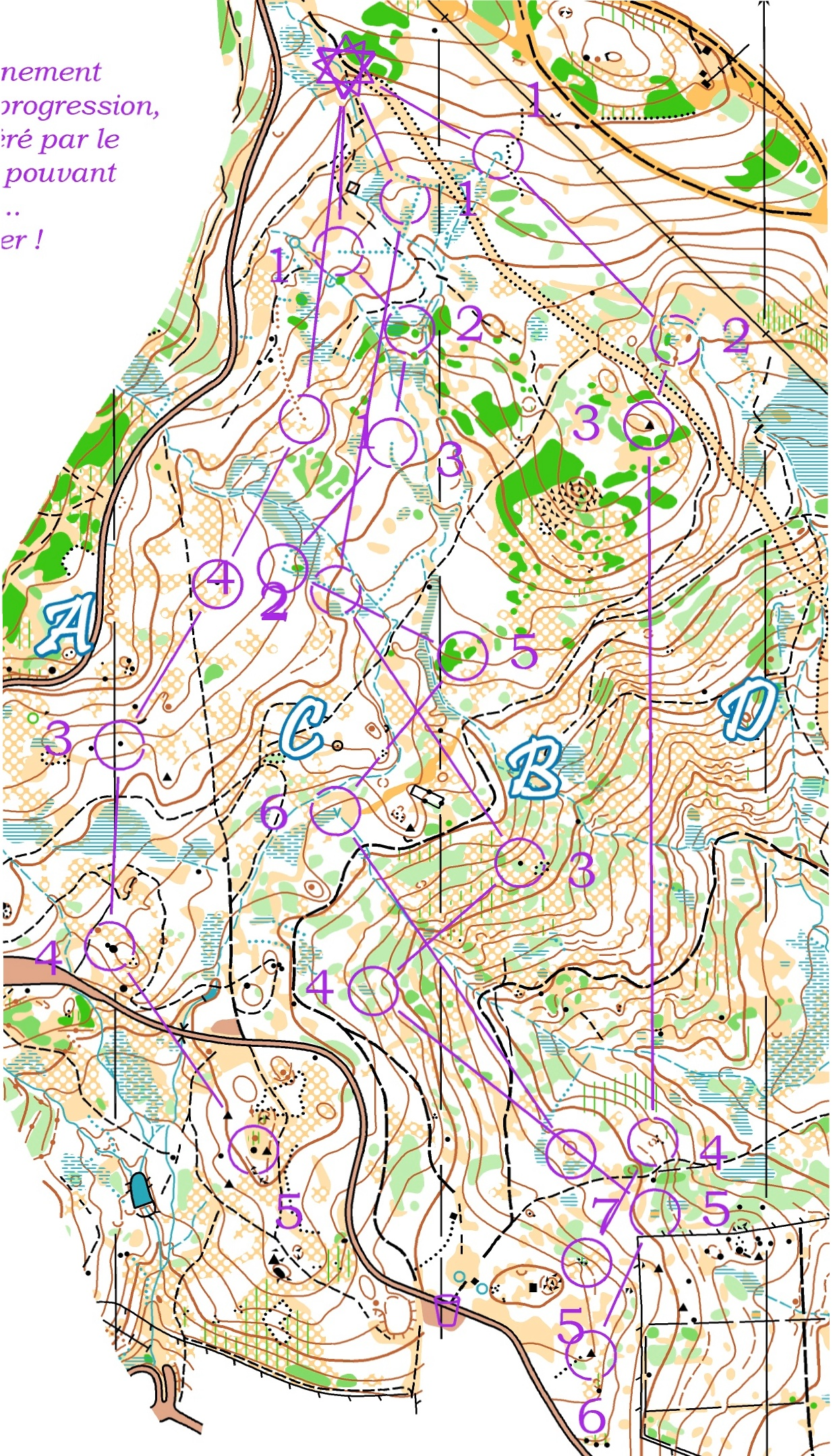 Descente Stage Junior Font-Romeu (2018-08-26)