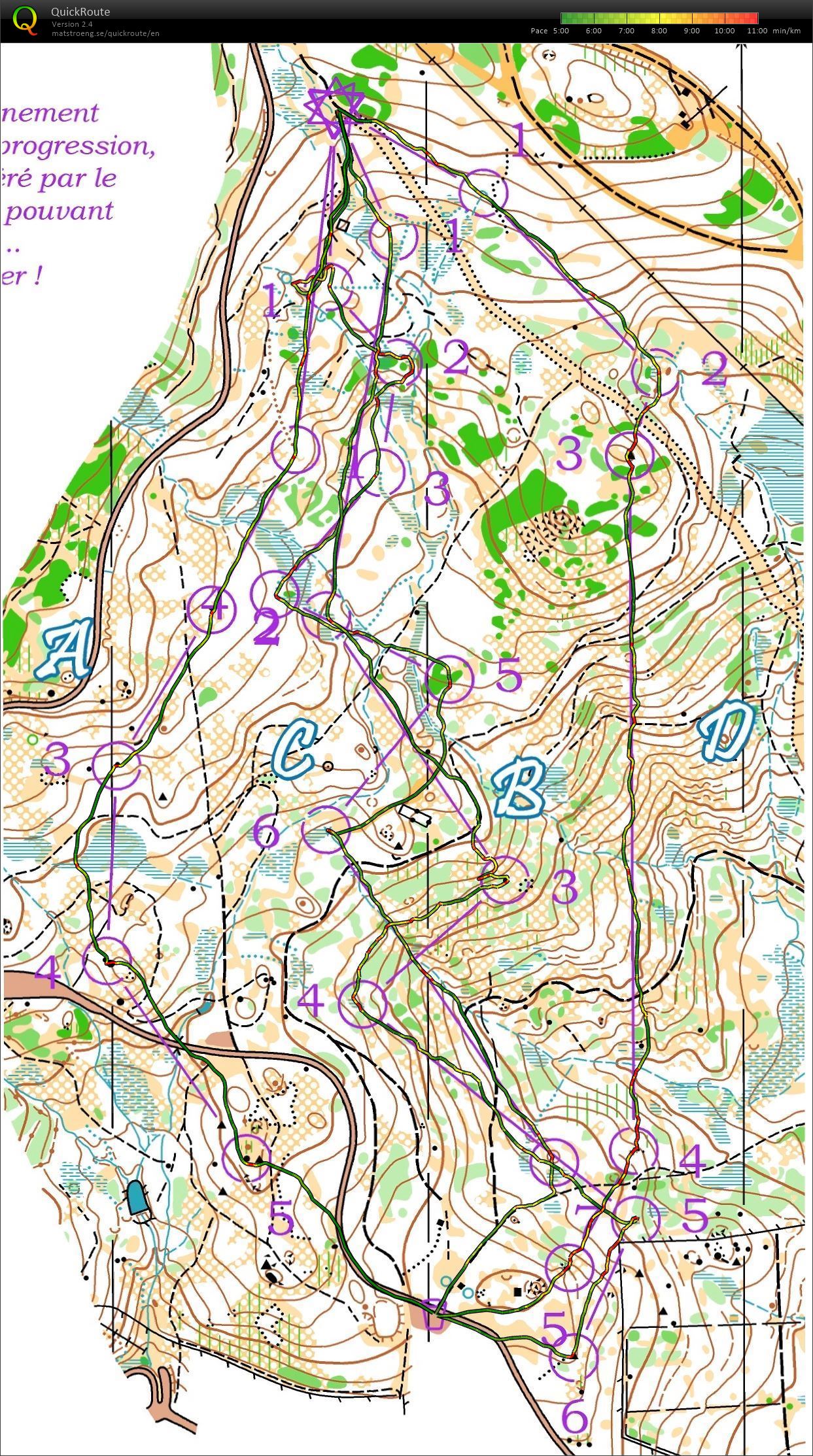 Descente Stage Junior Font-Romeu (2018-08-26)