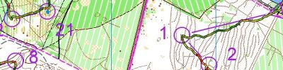 mTk Mares Gauthier