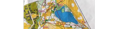 Sprint training - even/odd