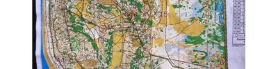 British Championships Long Distance H60