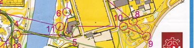 CNRS Sprint Relais Adult Mixed Open class