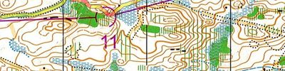 WOC 2015 Spectator Race 6
