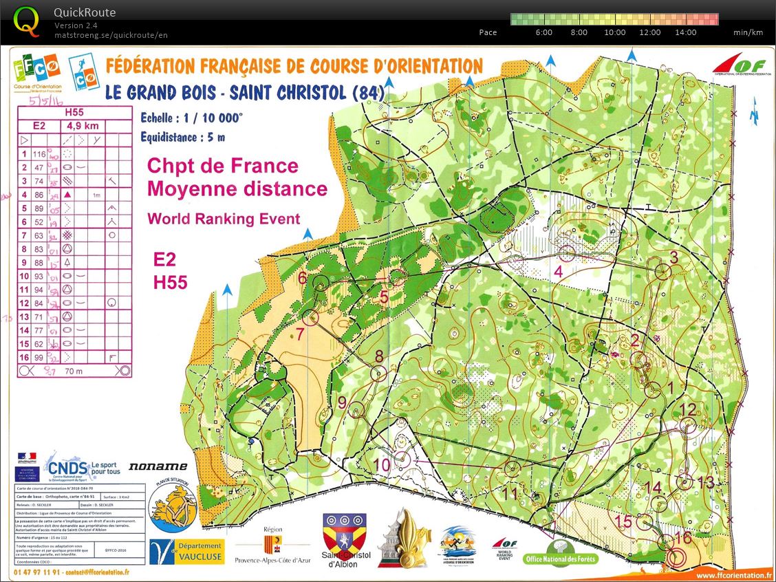 CF Moyenne distance (07-05-2016)
