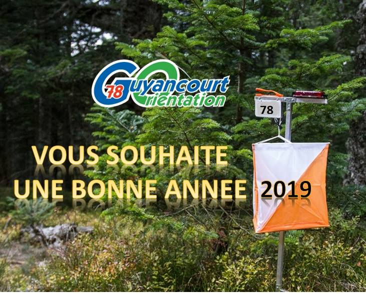 2019 bonne annee